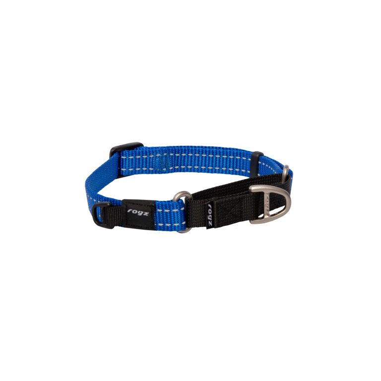 ROGZ UTILITY CONTROL COLLAR WEB