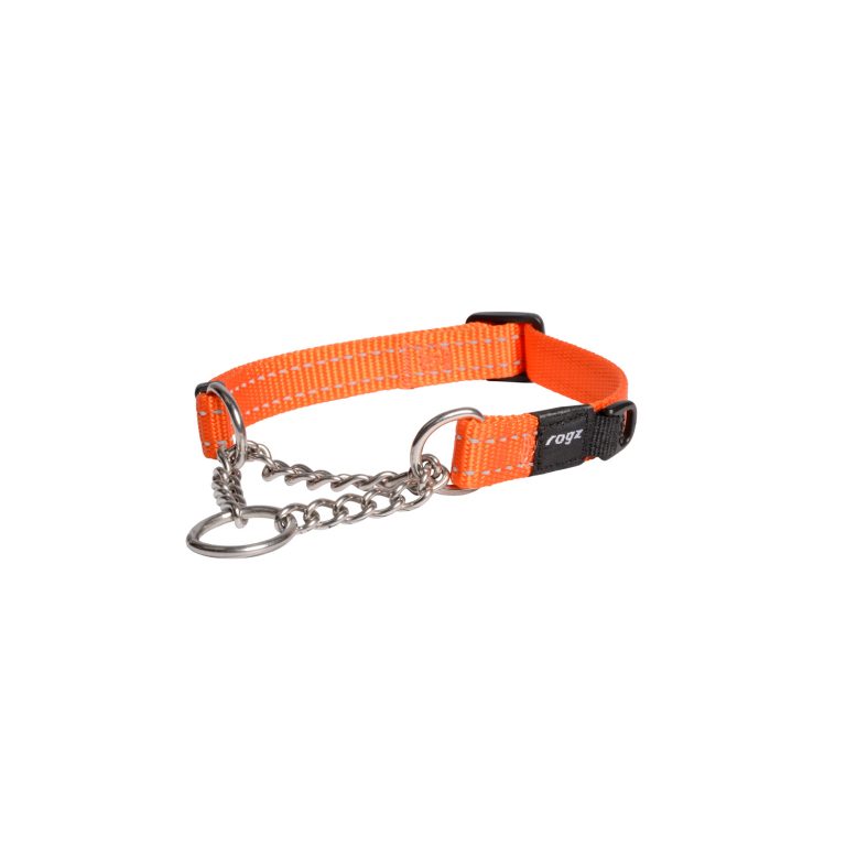 Dog collar chain outlet and leather