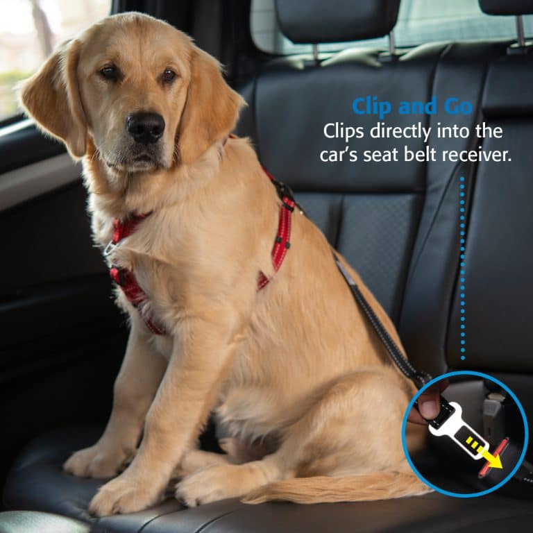 ROGZ UTILITY CAR-SAFE-SEAT BELT CLIP