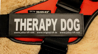 JULIUS-K9 IDC® HARNESS LABEL & PATCH : THERAPY DOG