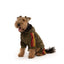 FAB DOG VELOUR JOGGER : OLIVE