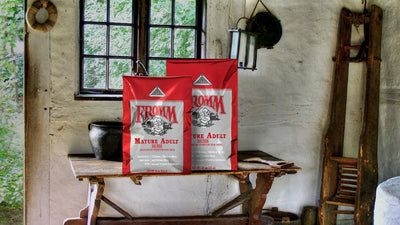 FROMM CLASSIC MATURE ADULT DOG FOOD