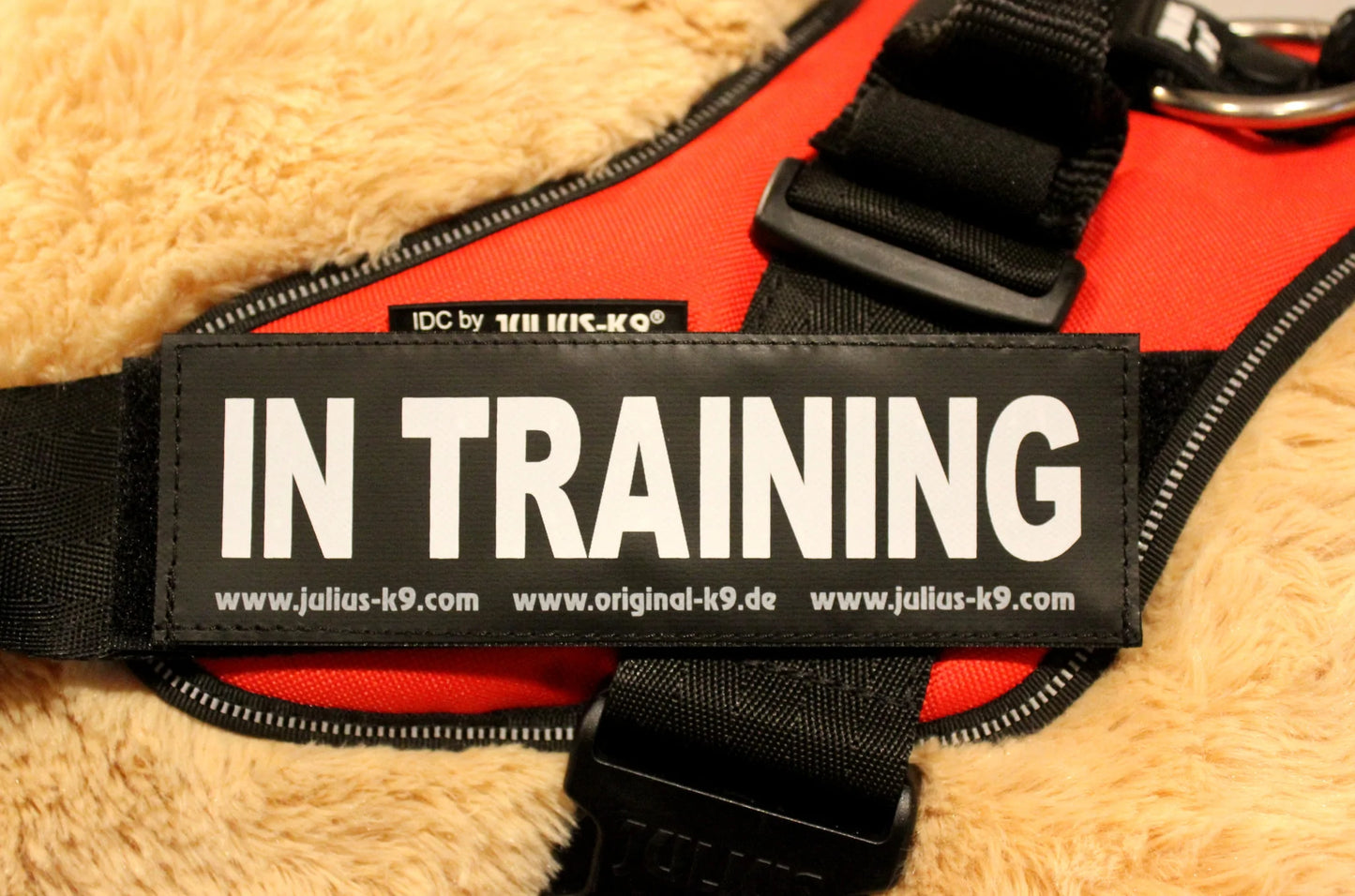 JULIUS-K9 IDC® HARNESS LABEL & PATCH : IN TRAINING