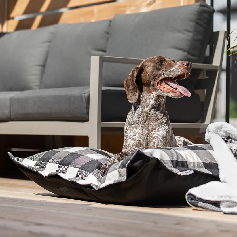 BE ONE BREED: MEMORY FOAM CLOUD PILLOWS - BLACK PLAID