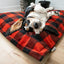 BE ONE BREED: MEMORY FOAM CLOUD PILLOWS - BUFFALO PLAID
