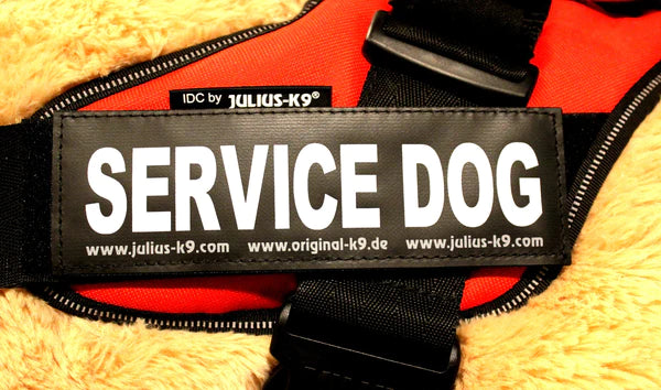 JULIUS-K9 IDC® HARNESS LABEL & PATCH : SERVICE DOG