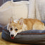 BE ONE BREED: SNUGGLE BED FOR PET