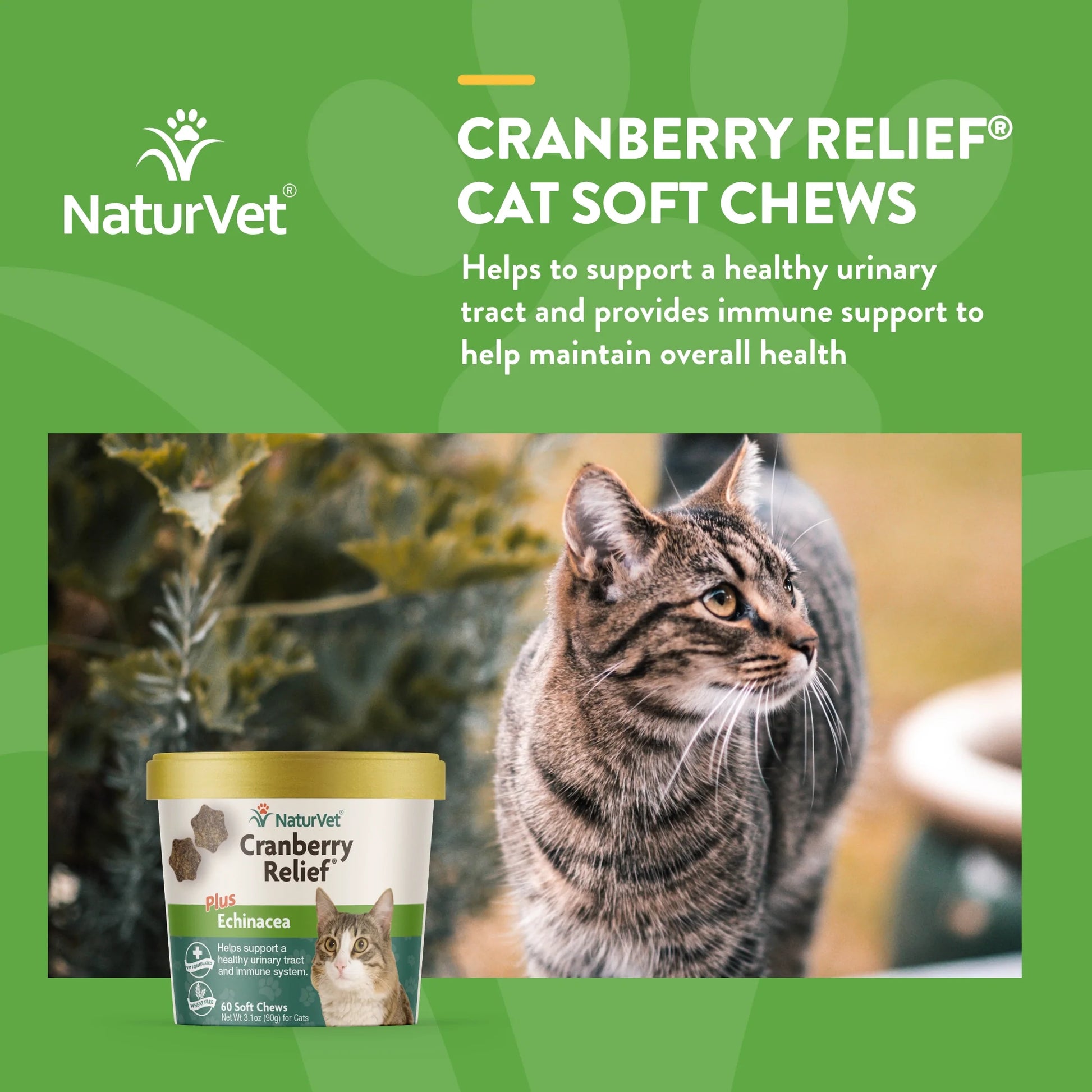 NATURVET CRANBERRY RELIEF SOFT CHEWS FOR CATS 60 CT