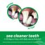 TROPICLEAN FRESH BREATH ORAL CARE KIT FOR SMALL/MEDIUM DOGS